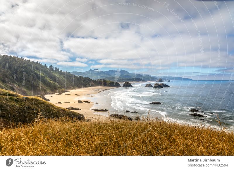 Waves rolling on Cannon beach on the West Coast, Ecola State Park bay beautiful cannon beach closeup coastal feature coastline dramatic drift ecola state park