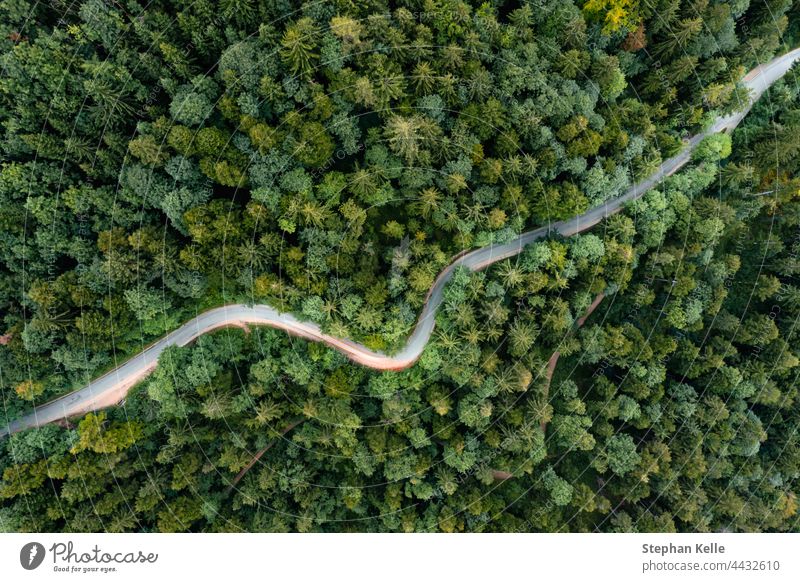 Backlights of a driving car in a curvy road as long exposure from a drone, having a trip to a green summer forest at the evening. curve street backlight night