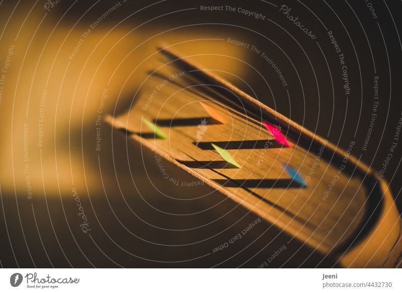 Old book in the evening light Book sticky notes post it Light Shaft of light Paper Sunlight Reading Library Literature Education Know Novel Study