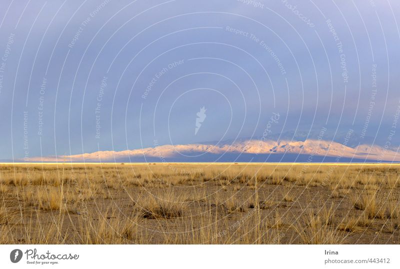 Fields of gold. Mongolia. Vacation & Travel Adventure Far-off places Freedom Summer Summer vacation Nature Landscape Sky Horizon Sunrise Sunset Grass Desert