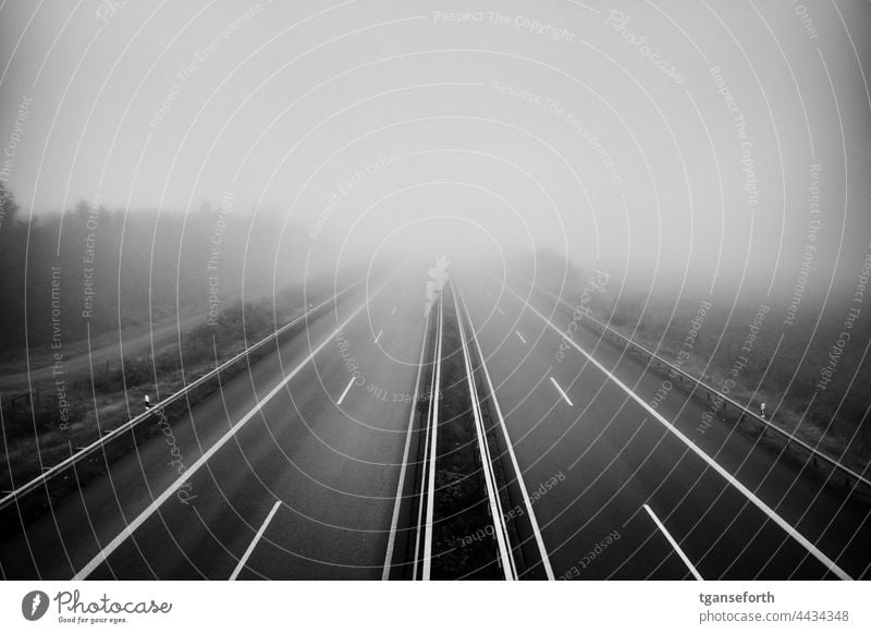 Motorway in the fog Highway Fog Empty Street Landscape Asphalt Transport travel Misty atmosphere Wall of fog in the morning Morning fog morning mood Deserted