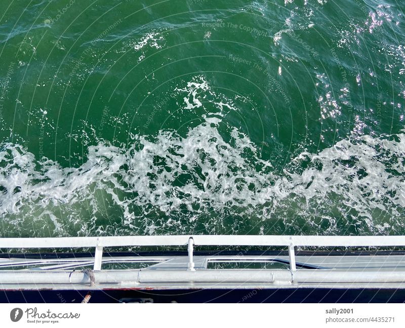 White-faced Tit Warbler Water Ocean Ferry Bird's-eye view Navigation Watercraft Waves Foam crown whitecap Lake ship Railing On board bubble White crest