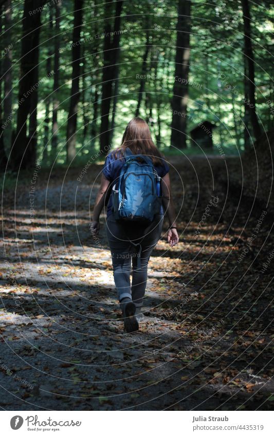 Hiking in the forest Forest Rhön Autumnal autumn foliage late summer Backpack backpacking backpacker Shaft of light Sunlight Shadow play Walking Movement Nature