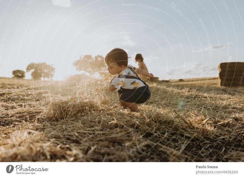 Child  playing with hay childhood Hay Field 1 - 3 years Caucasian Brothers and sisters Family & Relations Happy Children's game Day Happiness Colour photo Joy