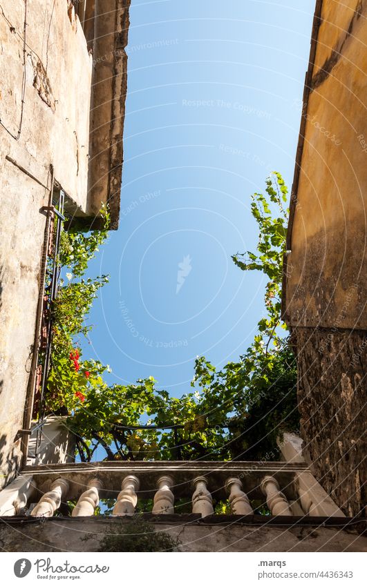 old town alley Worm's-eye view Architecture Historic Old balcony rail masonry Plant Narrow Perspective Facade Tall Old town Ambitious Above