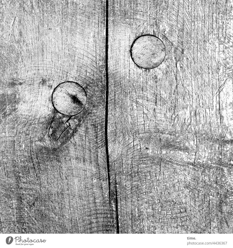 stormy times - squared timber with split, saw marks and locking dowels two Core drilling Filling obliquely Function Safety Protection sealed