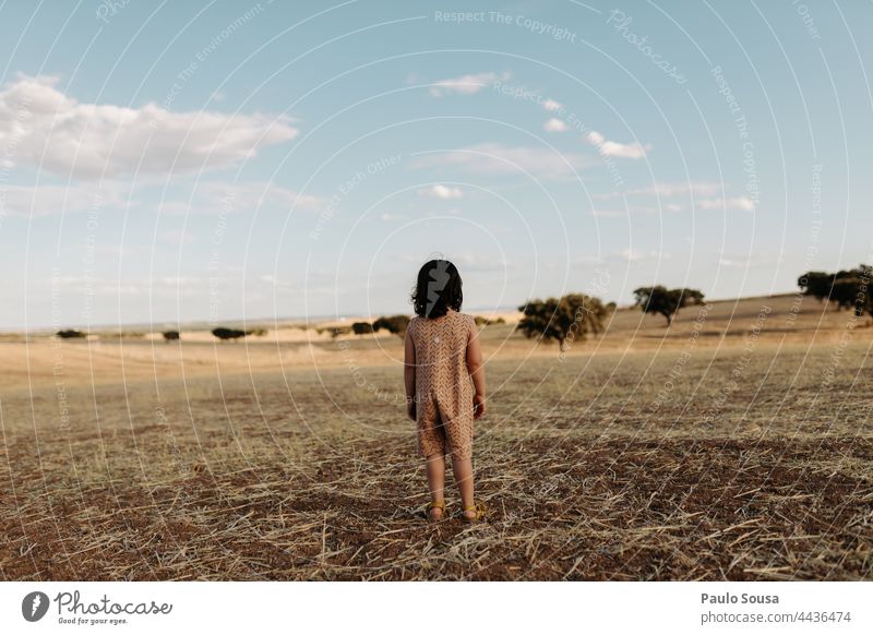 Rear view girl standind on the fields Child Girl 1 - 3 years Caucasian Summer Field Playing Nature Day 3 - 8 years Human being Exterior shot Colour photo