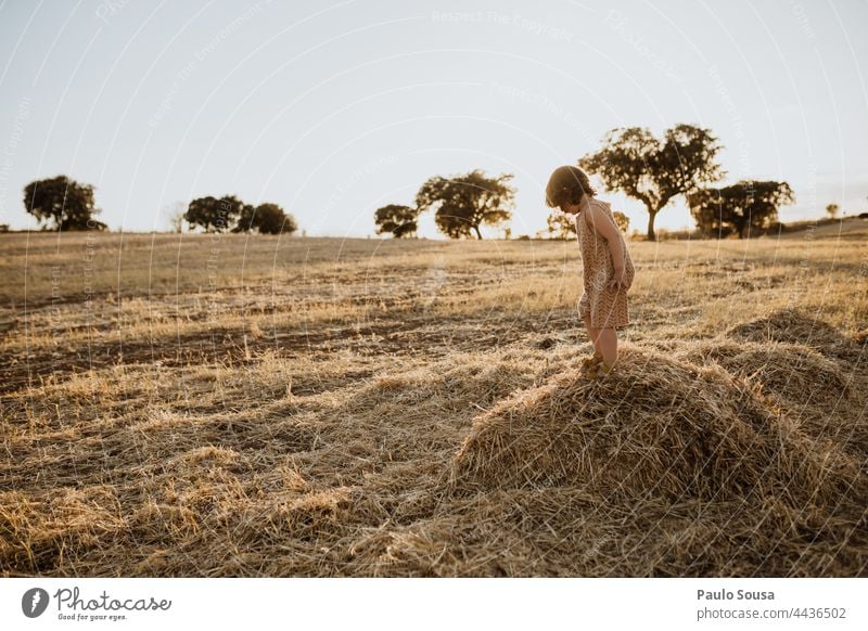 Cute girl playing in the fields Child childhood Girl 1 - 3 years Field Hay Summer Sunlight Copy Space Life Multicoloured Human being Exterior shot Colour photo