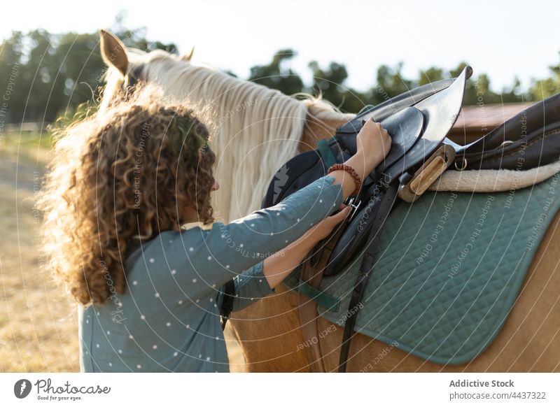 Woman putting saddle on back of horse in countryside woman mare prepare equine animal livestock domesticated farm riding school stallion fauna mammal equipment