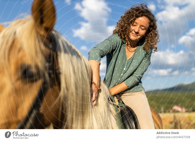 Woman on horse in countryside riding school woman horseback mare caress mane equine animal livestock smile domesticated stallion herbivore farm highland stroke