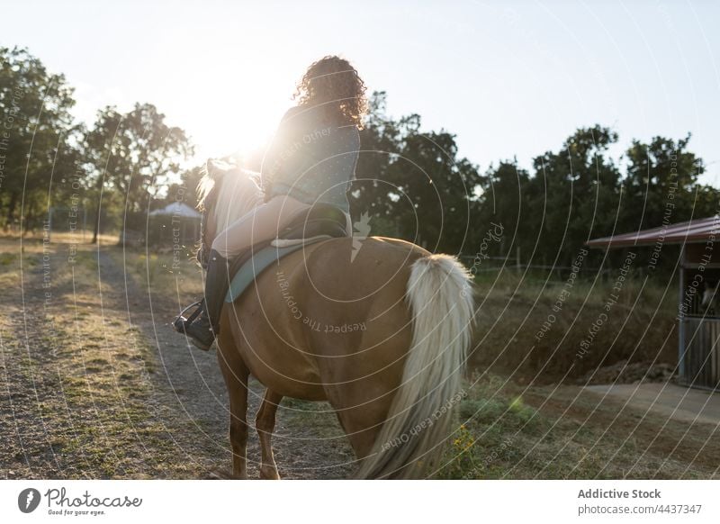 Anonymous woman riding horse on dry terrain against ridge ride equine animal livestock mammal domesticated highland countryside horseback stallion herbivore