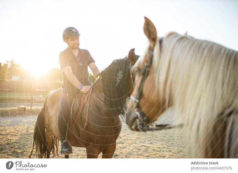 Unrecognizable woman with instructor riding horses in paddock ride equine animal livestock riding school countryside helmet sand boot tail sky stallion stable