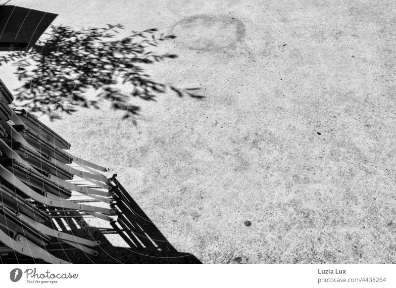 The morning after.... in front of the street café the chairs are still folded up; in addition the shade of a small olive tree, locked in a narrow pot Scene Town