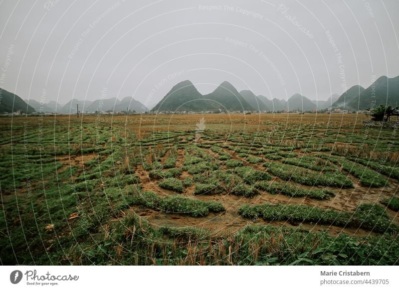 Foggy landscape of the karst mountains in Dong Van Karst Plateau Geopark in Ha giang, Vietnam foggy foggy landscape asia Dong van Ha giang Loop eco tourism