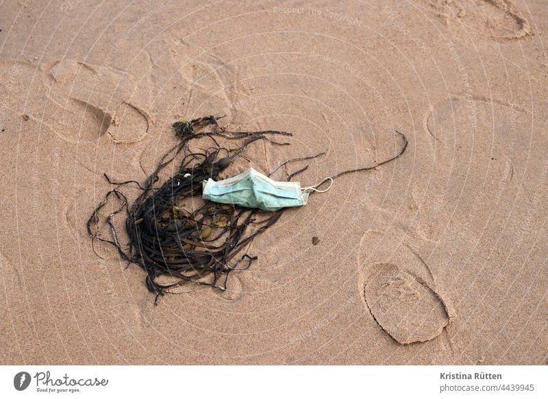 mouthguard washed up by the sea in the seaweed Mask Seaweed Beach flotsam Washed up Low tide Ocean mns Mouth protection utilised Second-hand