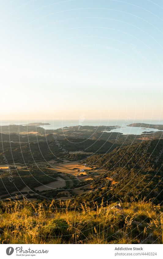 Mountains and plantations against endless ocean in countryside mountain tree sea sky agriculture field nature landscape evening autumn environment seascape