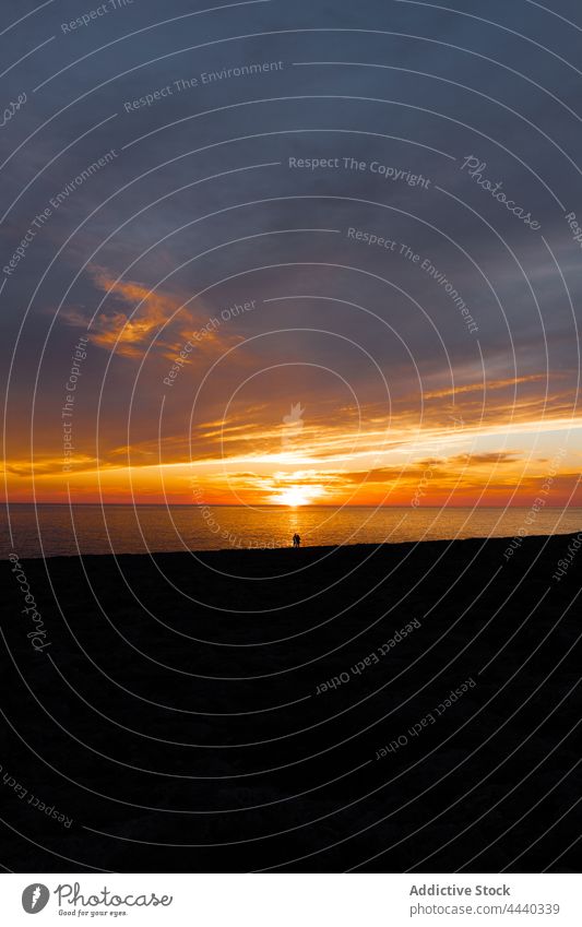 Traveler silhouettes contemplating sea from beach at night ocean sky cloudy dusk traveler nature seascape landscape shore shiny sun tourist contemplate admire