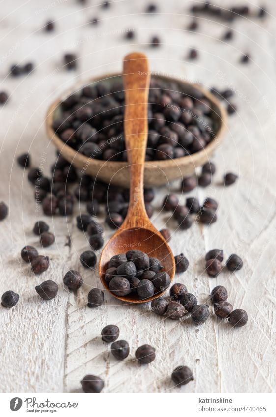 Bowl of black chickpea with spoon closeup Black chickpea Chickpea ceci neri Legume copy space Ingredient alternative bowl wooden Vegetarian Food Bean Nut Raw