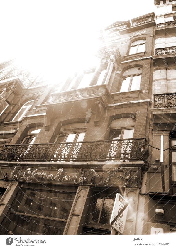 Bruxelles Brussels House (Residential Structure) Building Architecture Bright Dazzle Black & white photo Exterior shot Sunbeam Back-light