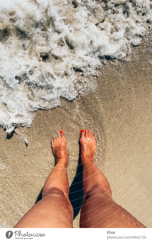 Women's feet on the beach washed by sea water. Holiday mood. vacation Beach Ocean wave Woman Sand Summer Barefoot Water Sandy beach Summer vacation Sea water