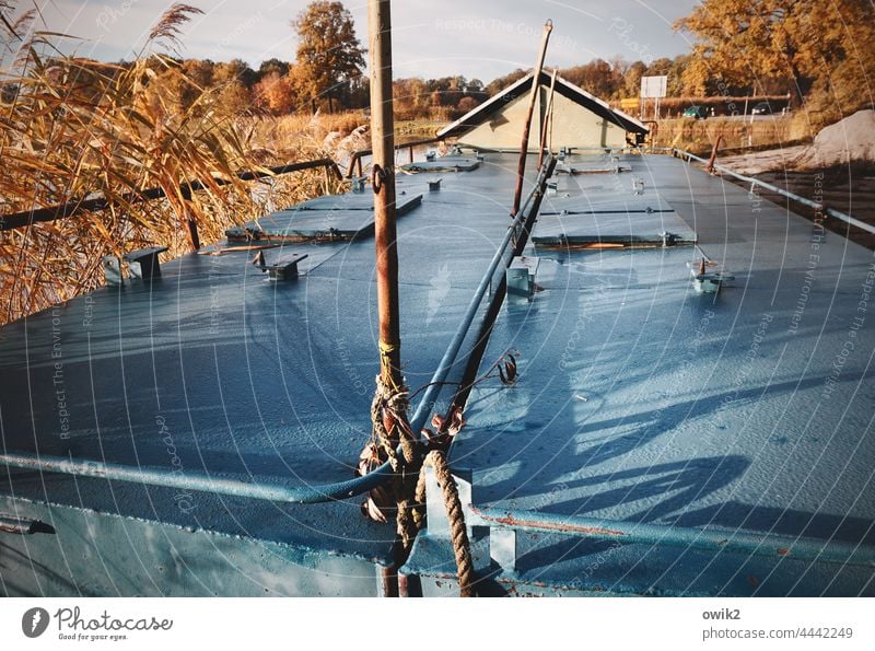 Galley Hull Metal Fishery ship Container Beautiful weather Sunlight Morning Exterior shot out trees Landscape Lake galley Fish food Cloudless sky windless