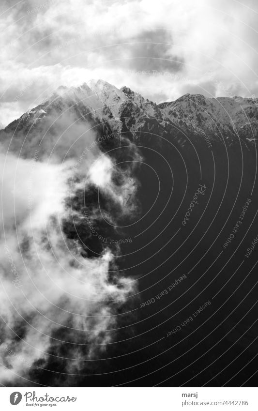 Clouds of fog conquer the mountains Shroud of fog Fog Misty atmosphere Dpster Nature Mountain Kruger tines Alps somber Peak cross snowy peaks Snowcapped peak