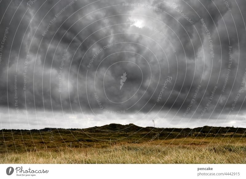 weather report düster Wetter Wolken Dünen Landschaft Nordsee allein einsam Erholung dramatisch Unwetter Stimmung Wetterbericht Baum Dänemark Wolkenloch