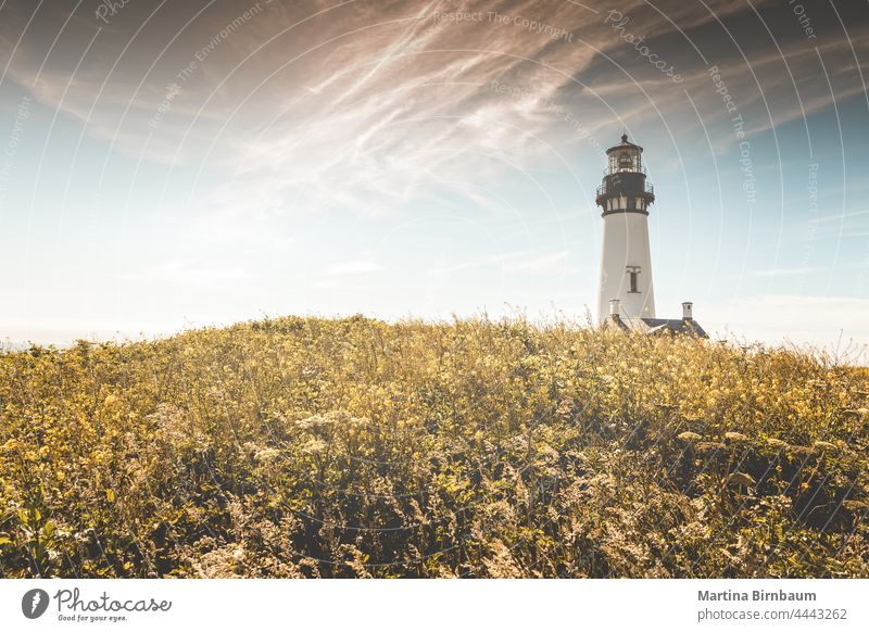 The historic Yaquina Head Lighthouse, Newport Oregon USA newport yaquina head pacific northwest oregon coast yaquina head lighthouse landscape travel guidance