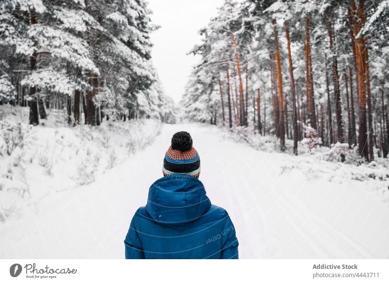 Woman in warm outerwear walking in snowy forest in daylight woman season traveler warm clothes nature wintertime tree female woods cold pathway woodland