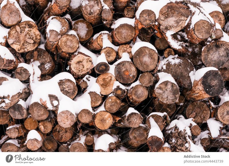 Stack of logs on snowy ground pile firewood timber winter heap nature resource industry stack cloudy environment cold tree hill cut woodpile storage stock