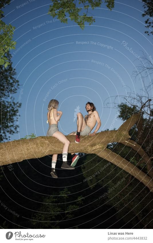 These two love birds are hanging out in a tree. On a branch. Flirting. Undressing. Enjoying these adventurous summer nights. Love is in the air in this one.