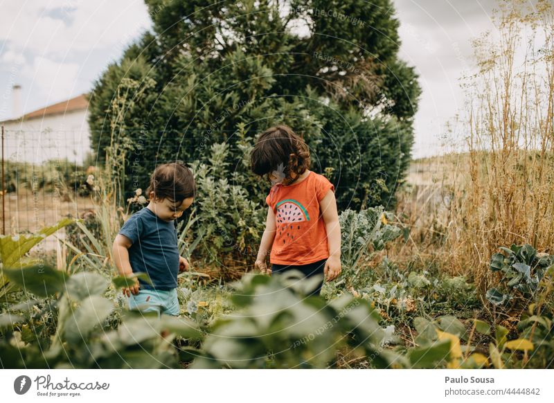 Brother and sister playing on the garden Brothers and sisters 1 - 3 years Caucasian Authentic Garden at home Family & Relations Happy Day Happiness Toddler