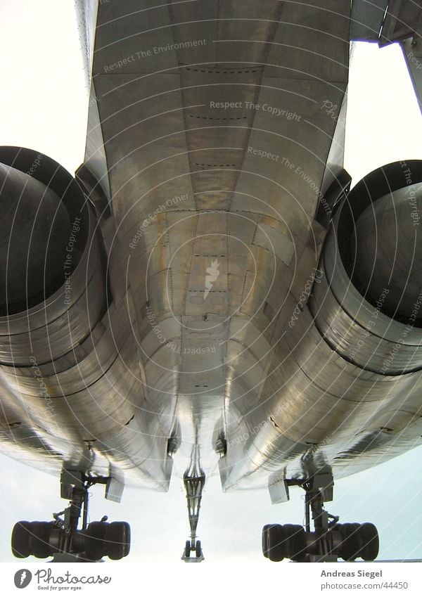 low-flying aircraft Engines Landing gear Airplane Dog Aviation Tu-144 German Technology Museum Sinsheim tupolev russian concords Vacation & Travel Wheel Sky