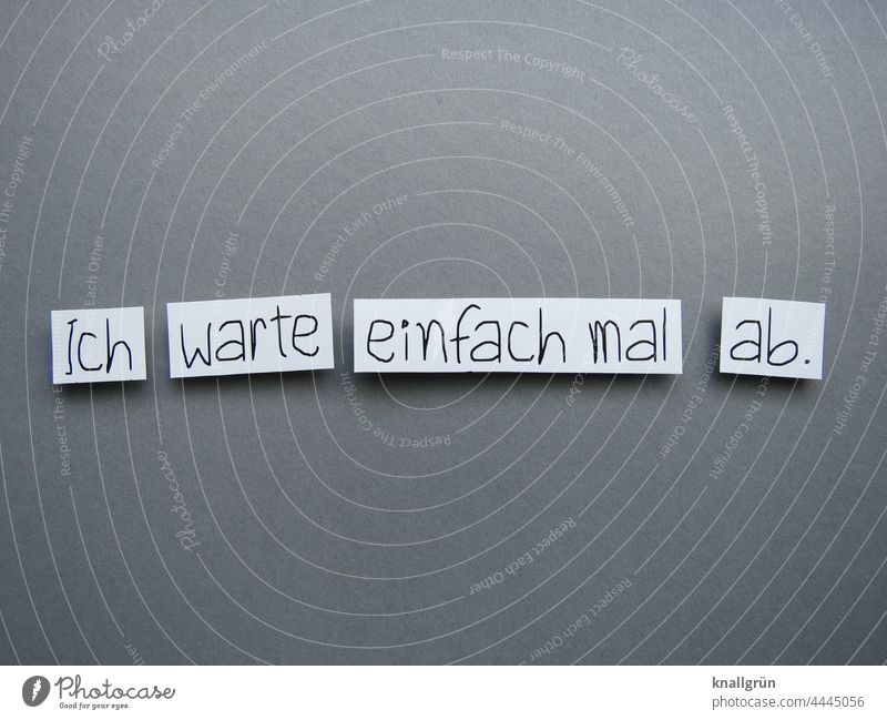 I'll just wait and see. Patient Wait Expectation Calm Observe Serene phlegmatic Endurance Withdraw Moody Time Future Letters (alphabet) Word leap letter