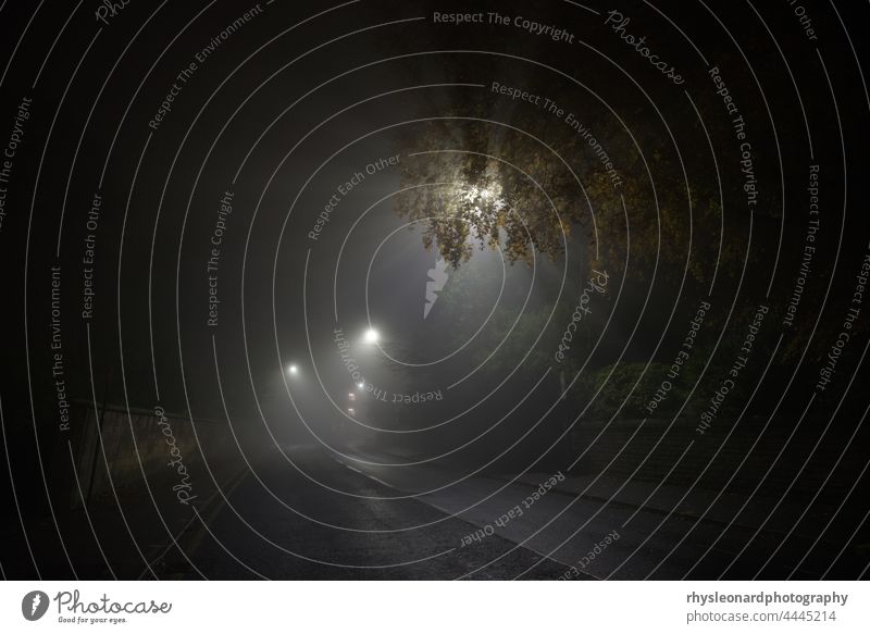 Deserted and spooky glossop road in sheffield, heavy fog during night. Rays of light from street lamps shine through heavy fog and branches. Deserted and empty main road, glossop road, sheffield, curves into the distance