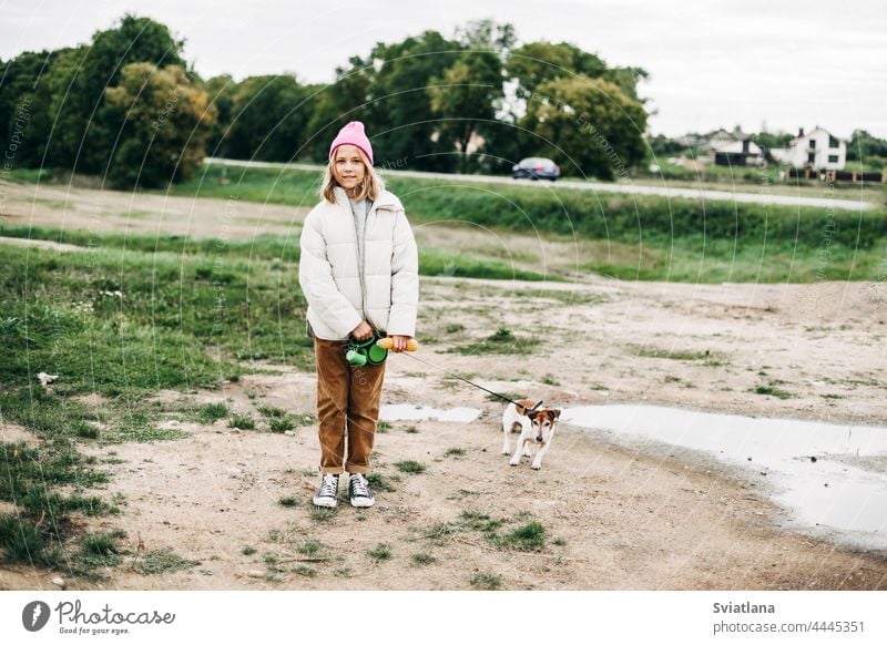 Cute teenage girl walking her dog Jack Russell Terrier on a leash in a field against a background of a cornfield in autumn teenager feed terrier childhood pet