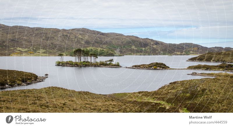 lost landscape Vacation & Travel Trip Adventure Freedom Hiking Nature Landscape Hill Island Lake Hole Assynt Great Britain Scotland Europe Calm Colour photo