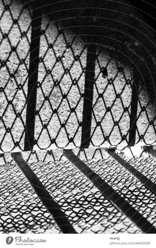 Trapped in time and space. The wire mesh fence and its shadow constrict the space Fence Deception captivity Shadow Exceptional Contrast Dark Captured Sadness