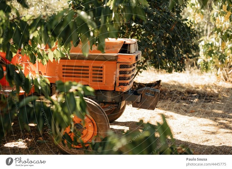 Agriculture tractor Tractor Summer Field Tractor track Tractors agricultural Agricultural machine Old Weathered Rustic Rural Rural Scene Vehicle agriculture