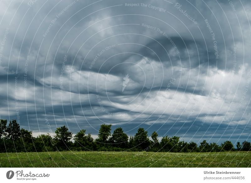 water bombs Nature Landscape Sky Clouds Autumn Bad weather Gale Rain Thunder and lightning Tree Grass Meadow Field Forest Hang Threat Dark Gray Green