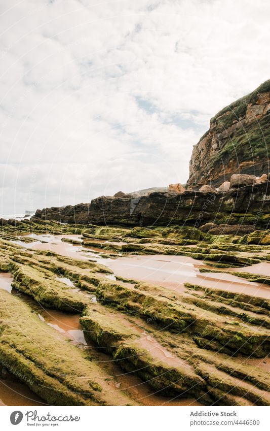 Cliff on sea coast under cloudy sky cliff seashore highland nature geology landscape moss massive reflect rock wet water mountain beach formation ocean summer