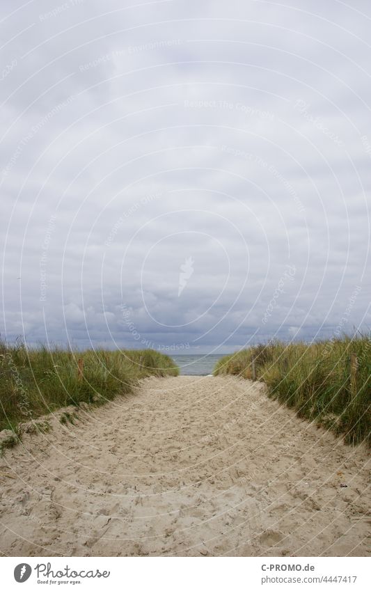 Beach entrance Kühlungsborn beach emergence duene Marram grass beach sand Sand Sky Ocean Deserted Baltic Sea Clouds cloudy cloudy sky