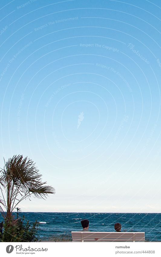 sea view Calm Vacation & Travel Far-off places Summer Sun Beach Ocean Human being Masculine Feminine Head 2 Air Water Sky Cloudless sky Horizon Tree Waves