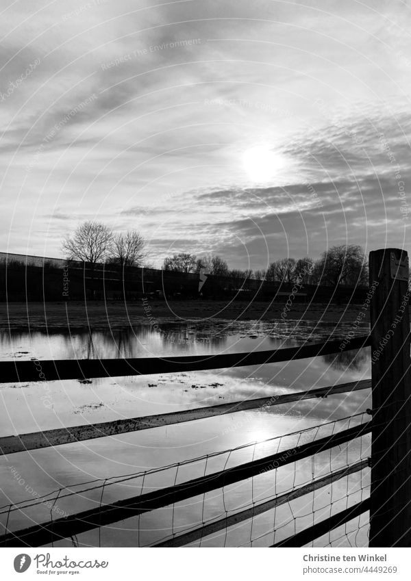 A fenced and flooded horse paddock. In the water bare trees and the winter sun are reflected in the slightly cloudy sky Deluge Puddle Meadow Sky after the rain