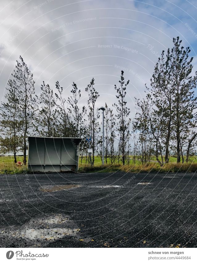 waiting Iceland Bus Transport Ocean trees PUBLIC TRANSPORT tranquillity silent Autumn Wait Outdoors travel Forest Bus stop Landscape Street Nature Exterior shot