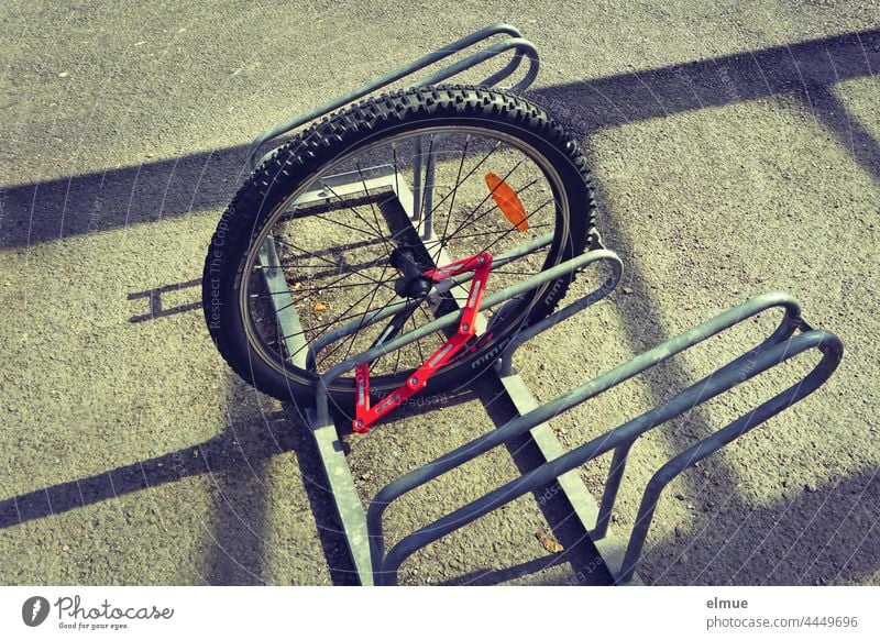 front wheel of a bicycle connected to a bicycle stand / theft / audacity Front wheel Bicycle Audacity brazen Theft Safety insecurity Bicycle rack bicycle lock