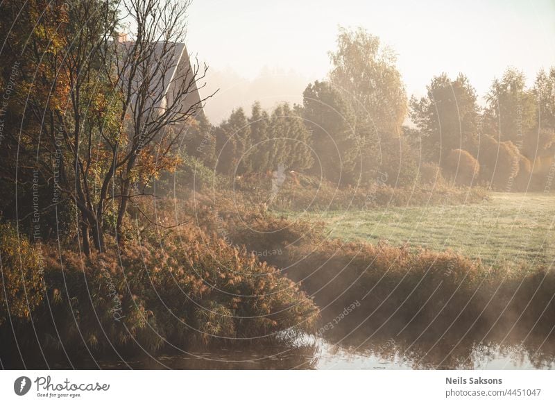 beautiful view from river one shore to opposite in hazy autumn october morning sunrise in Latvia. Bare tree branches, trees with yellow and red leaves, meadow with brown dry grass and reeds