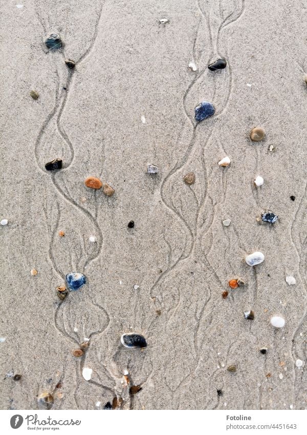 At the beach on the dune Helgoland I found not only beach treasures, but also picture treasures. Like here, where nature created a wonderful work of art with little stones and tideways.