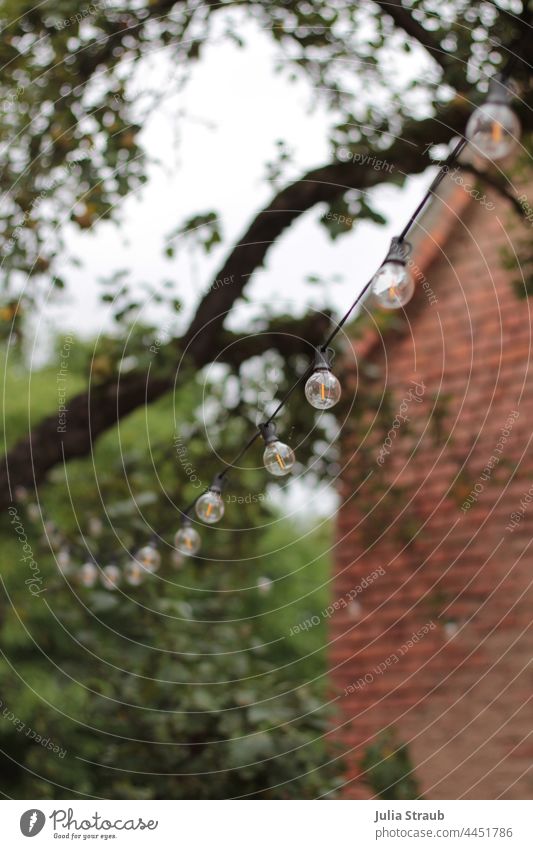 String of lights hanging in the row on fruit tree in front of brick house wall Fairy lights Electric bulb LED Cable Fruit trees Fruit garden Tree Branch