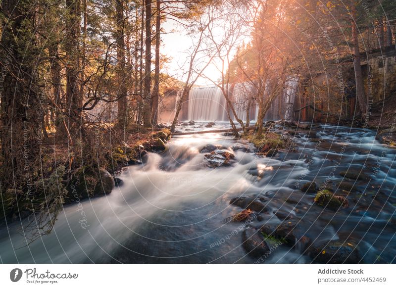 Waterfall flowing through autumn forest in daylight waterfall stream river nature picturesque environment sierra de guadarrama spain scenery landscape stone